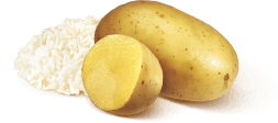RICE & potato