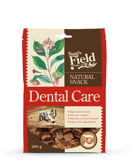 Natural Snack Dental Care